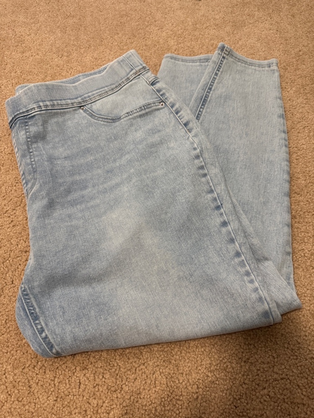 Terra & Sky Light Blue Denim Jeans size 1x